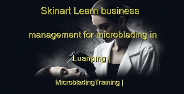 Skinart Learn business management for microblading in Luanping | MicrobladingTraining | MicrobladingClasses | SkinartTraining-China